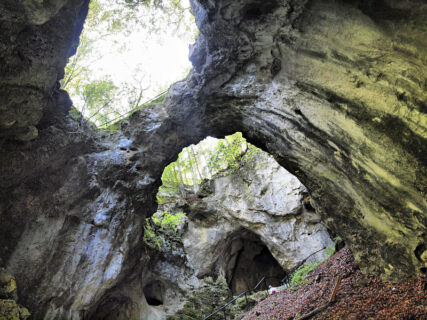 Riesenburg (Source: Wikimedia, Author: Alma)*